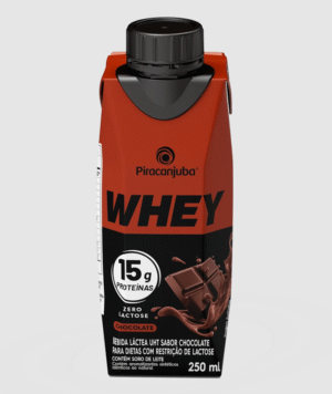 BEBIDA LACT.WHEY CHOC 250ML