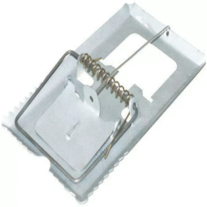 RATOEIRA GRANDE CARDIGOS