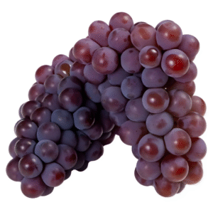 UVA NIAGRA KG
