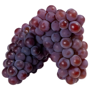 UVA NIAGRA KG