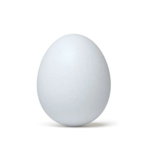 OVO UN