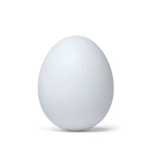 OVO UN