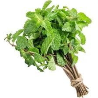 HORTELA UN