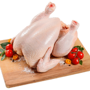FRANGO CONGELADO