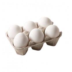OVOS COM 6