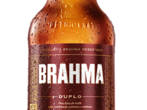 BRAHMA DUPLO MALTE 300ML RET