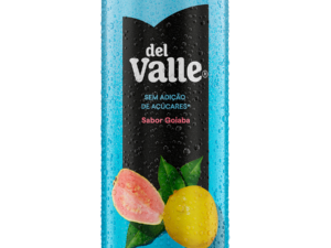DV GOIABA SAA LT 290ML