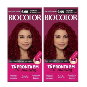 Captura de tela 2024-11-15 164444