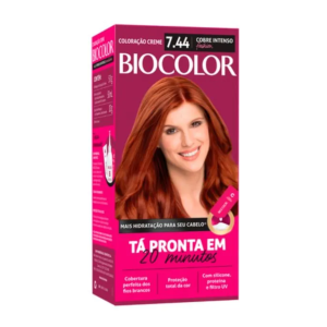 Captura de tela 2024-11-15 174402