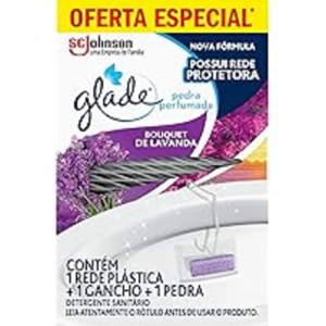 Captura de tela 2024-12-03 152042
